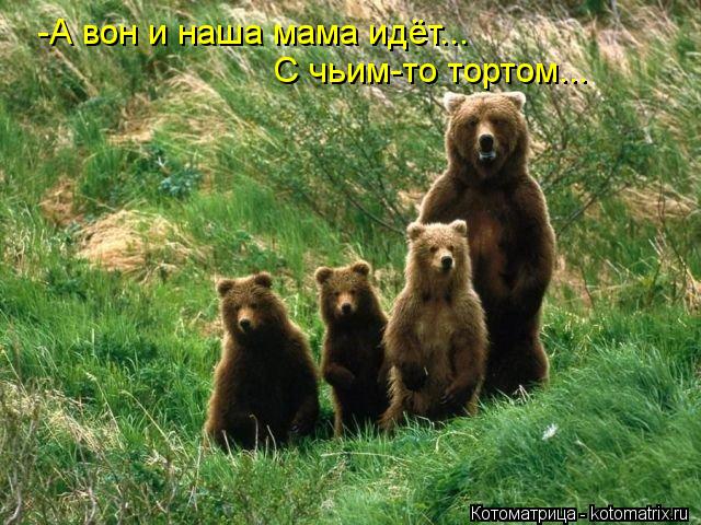 Котоматрица: -А вон и наша мама идёт... С чьим-то тортом...