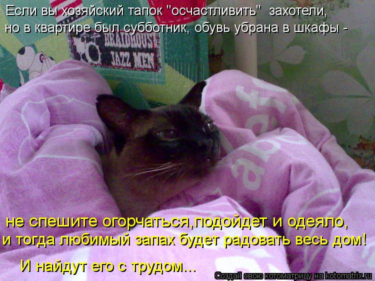 Котоматрица: Если вы хозяйский тапок "осчастливить"  захотели,  но в квартире был субботник, обувь убрана в шкафы -  не спешите огорчаться,подойдет и одеял