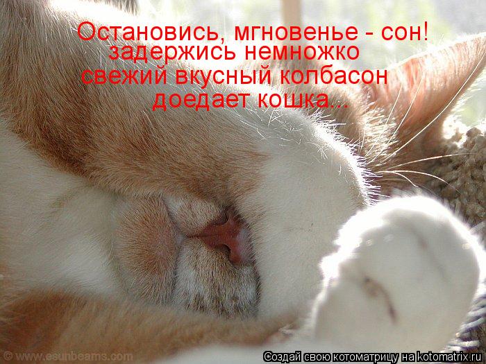 Котоматрица: Остановись, мгновенье - сон! задержись немножко   свежий вкусный колбасон  доедает кошка...