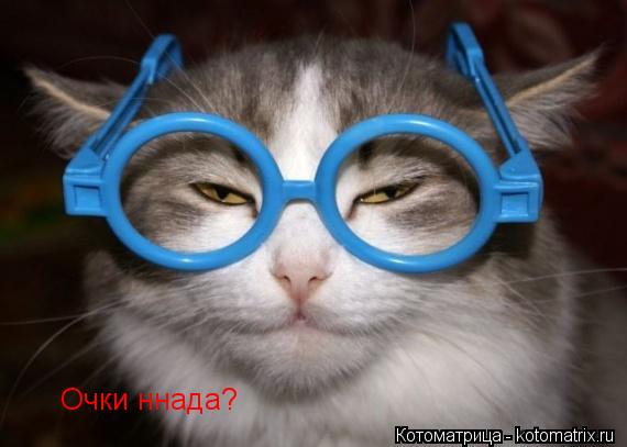 Котоматрица: Очки ннада?