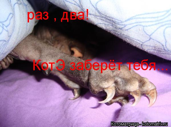 Котоматрица: раз , два! КотЭ заберёт тебя...