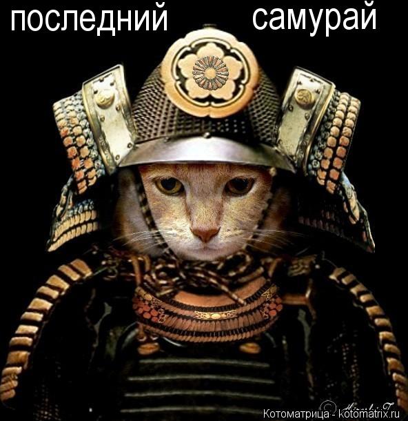 последний самурай... Котоматрица: последний самурай