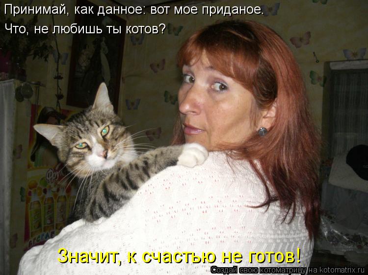 Принимай, как данное: вот мое приданое. Что, не любишь ты котов? Значит, к счастью не готов!... Котоматрица: Принимай, как данное: вот мое приданое. Что, не любишь ты котов? Значит, к счастью не готов!