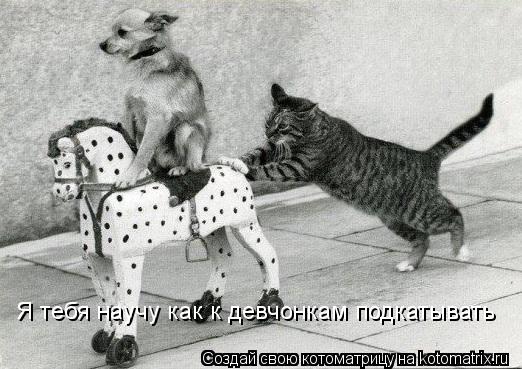 Я тебя научу как к девчонкам подкатывать... Котоматрица: Я тебя научу как к девчонкам подкатывать