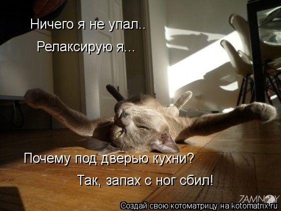 Котоматрица: Ничего я не упал.. Релаксирую я... Почему под дверью кухни? Так, запах с ног сбил!