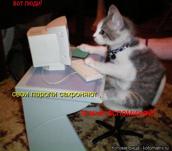 Котоматрица: вот люди! свои пароли сахроняют , а мне вспоминай!