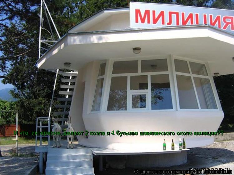 Котоматрица: И что, интересно, делают 2 козла и 4 бутылки шампанского около милиции??