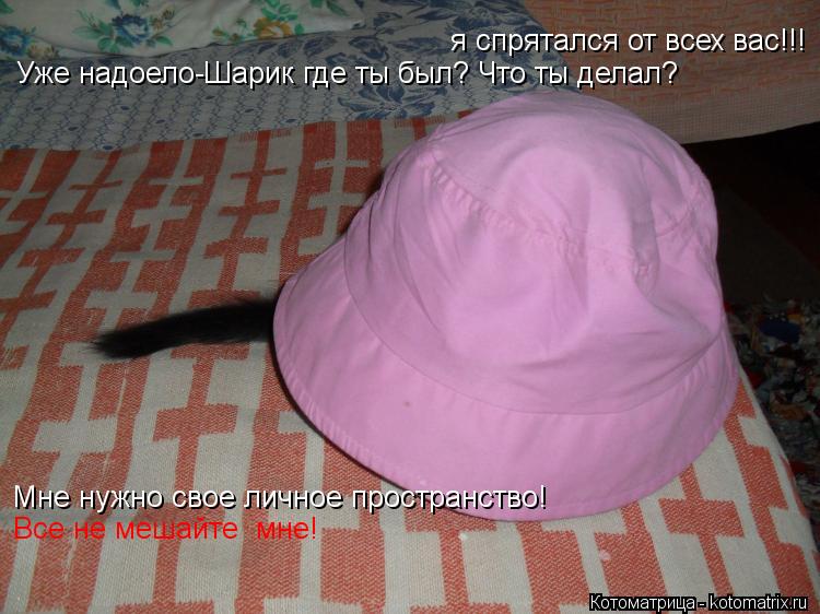 Котоматрица: я спрятался от всех вас!!! Уже надоело-Шарик где ты был? Что ты делал? Мне нужно свое личное пространство! Все не мешайте  мне!