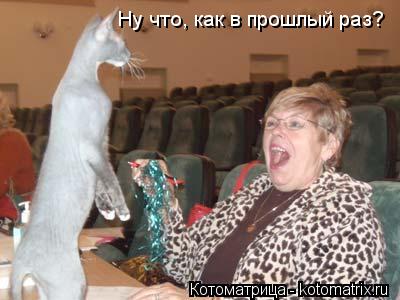 Котоматрица: Ну что, как в прошлый раз?
