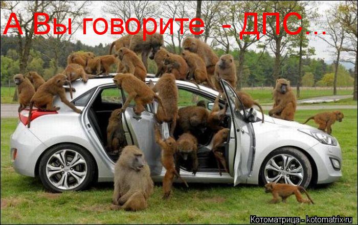 Котоматрица: А Вы говорите  - ДПС...
