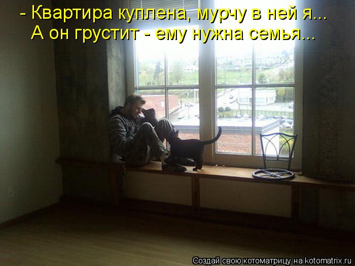 Котоматрица: - Квартира куплена, мурчу в ней я... А он грустит - ему нужна семья...