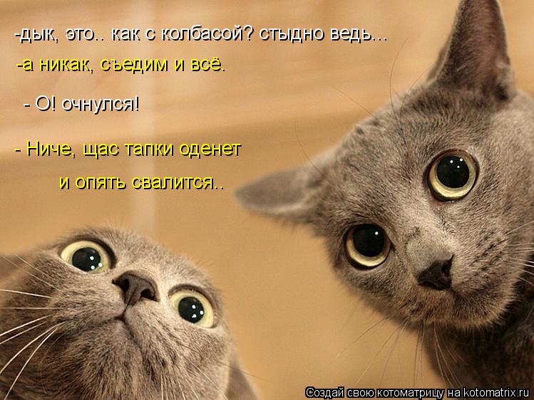 Котоматрица: -дык, это.. как с колбасой? стыдно ведь... -а никак, съедим и всё.  - О! очнулся! - Ниче, щас тапки оденет и опять свалится..