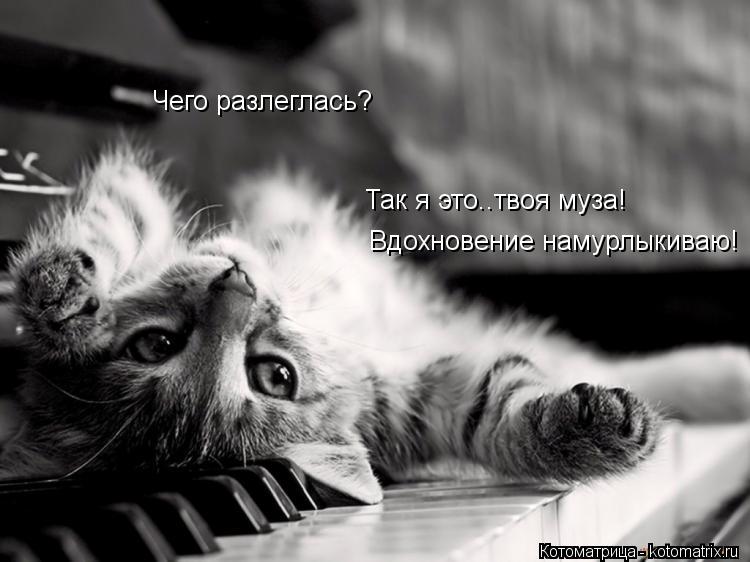 Чего разлеглась? Так я это..твоя муза! Вдохновение намурлыкиваю!... Котоматрица: Чего разлеглась? Так я это..твоя муза! Вдохновение намурлыкиваю!