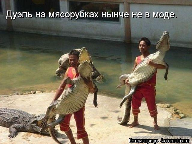 Котоматрица: Дуэль на мясорубках нынче не в моде.