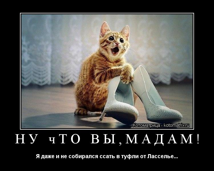 Котоматрица: ну что вы,мадам! Я даже и не собирался ссать в туфли от Ласселье...