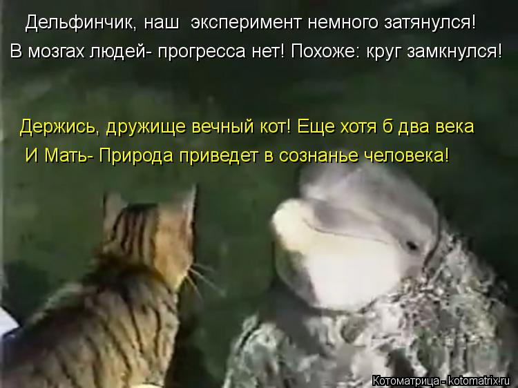 Котоматрица: Дельфинчик, наш  эксперимент немного затянулся! В мозгах людей- прогресса нет! Похоже: круг замкнулся! Держись, дружище вечный кот! Еще хотя 