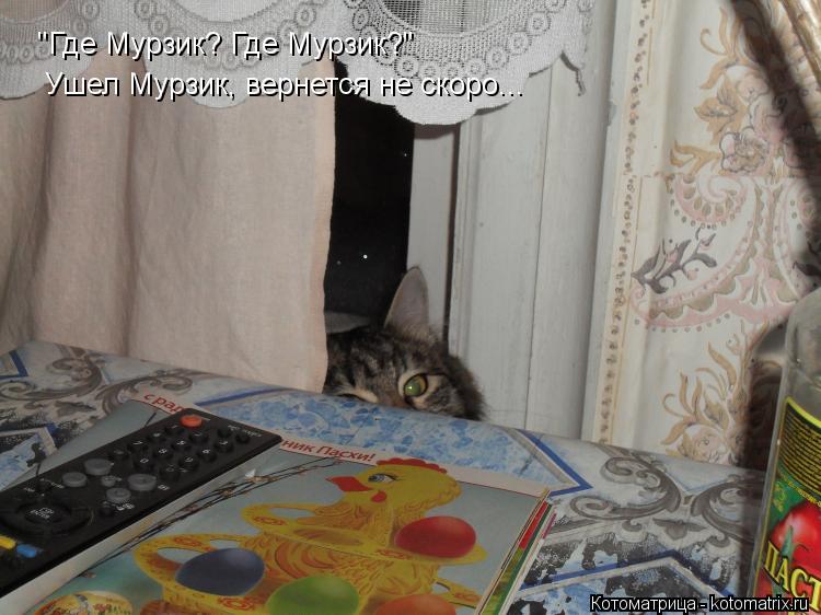 Котоматрица: "Где Мурзик? Где Мурзик?" Ушел Мурзик, вернется не скоро...