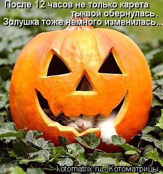 После 12 часов не только карета тыквой обернулась. Золушка тоже немного изменилась...... Котоматрица: После 12 часов не только карета тыквой обернулась. Золушка тоже немного изменилась...