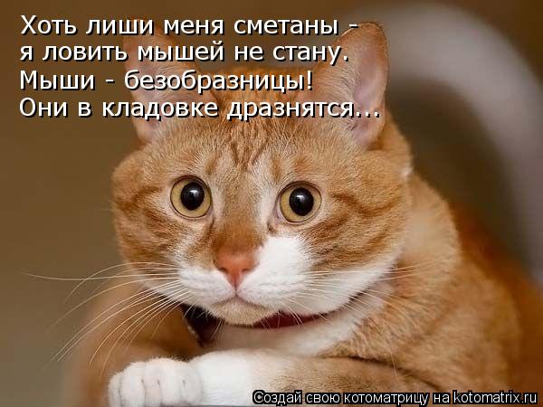 Хоть лиши меня сметаны - я ловить мышей не стану. Мыши - безобразницы! Они в кладовке дразнятся…..... Котоматрица: Хоть лиши меня сметаны - я ловить мышей не стану. Мыши - безобразницы! Они в кладовке дразнятся…..