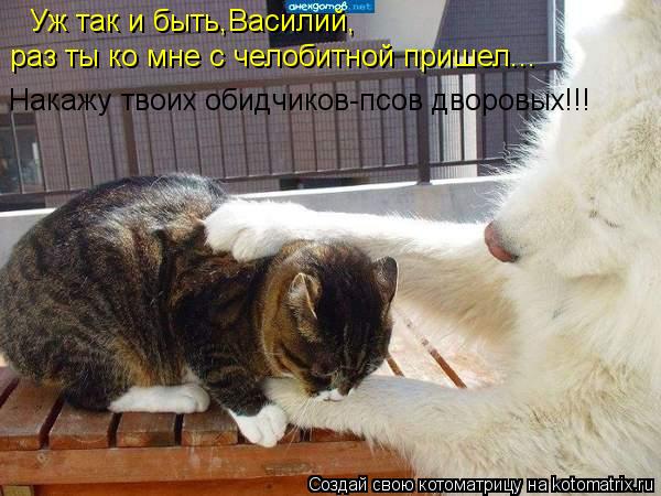 Уж так и быть,Василий, раз ты ко мне с челобитной пришел... Накажу твоих обидчиков-псов дворовых!!!... Котоматрица: Уж так и быть,Василий, раз ты ко мне с челобитной пришел... Накажу твоих обидчиков-псов дворовых!!!