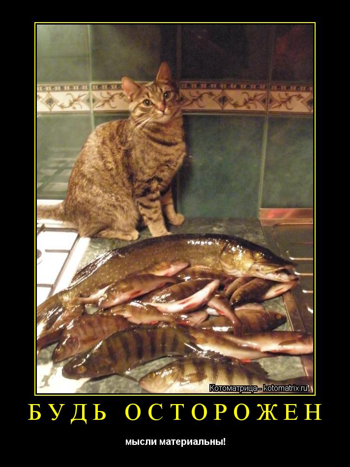 Котоматрица: Будь осторожен мысли материальны!