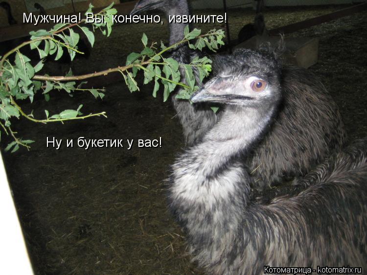 Котоматрица: Мужчина! Вы, конечно, извините! Ну и букетик у вас!