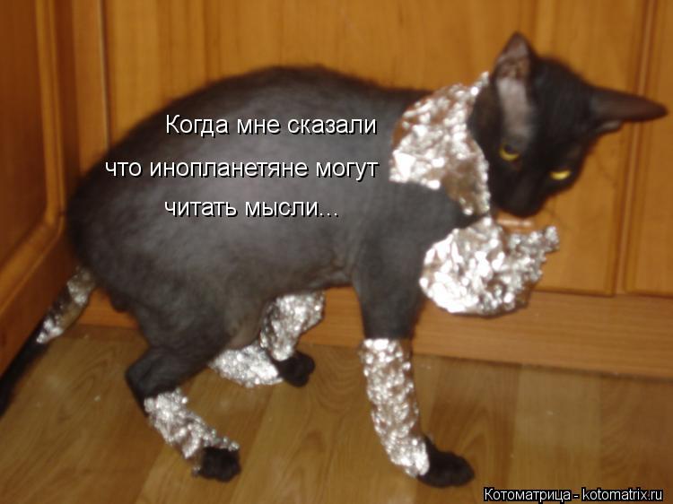 Котоматрица: Когда мне сказали что инопланетяне могут читать мысли...