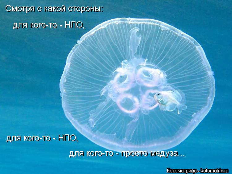 моя очередь играть в xbox360... Котоматрица: моя очередь играть в xbox360