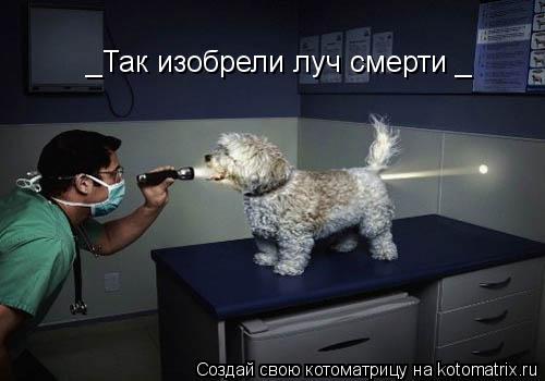Котоматрица: _Так изобрели луч смерти _