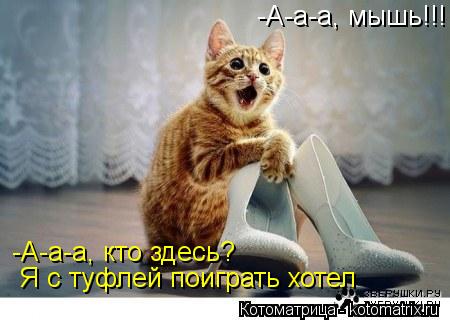 Котоматрица: -А-а-а, мышь!!! -А-а-а, кто здесь? Я с туфлей поиграть хотел