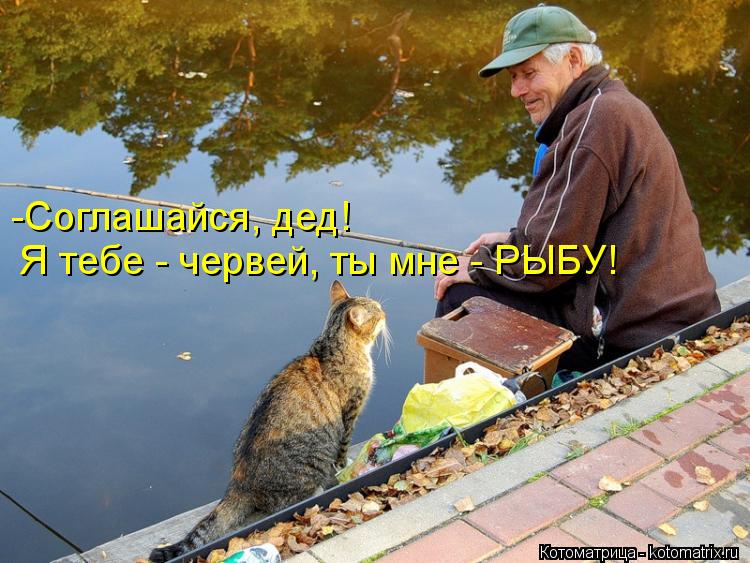 Котоматрица: -Соглашайся, дед!  Я тебе - червей, ты мне - РЫБУ!