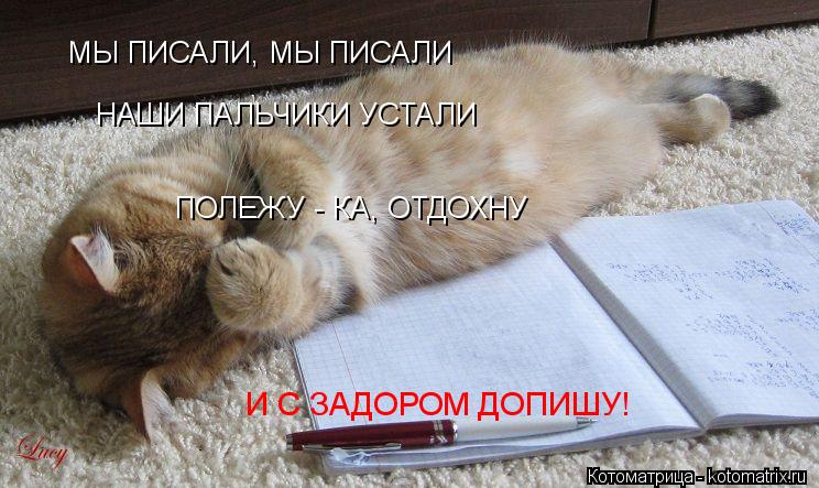 Котоматрица: НАШИ ПАЛЬЧИКИ УСТАЛИ МЫ ПИСАЛИ, МЫ ПИСАЛИ ПОЛЕЖУ - КА, ОТДОХНУ И С ЗАДОРОМ ДОПИШУ!
