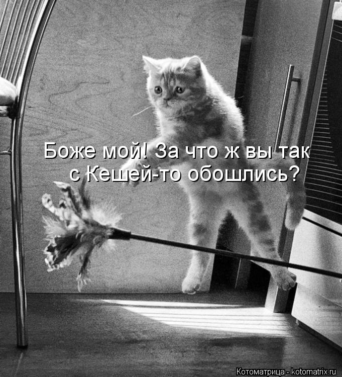 Котоматрица: Боже мой! За что ж вы так  с Кешей-то обошлись?