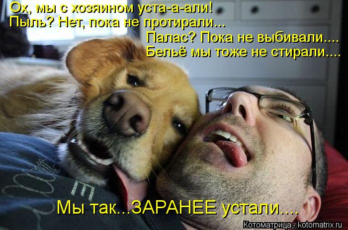 Ох, мы с хозяином уста-а-али! Пыль? Нет, пока не протирали... Палас? Пока не выбивали.... Бельё мы то... Котоматрица: Ох, мы с хозяином уста-а-али! Пыль? Нет, пока не протирали... Палас? Пока не выбивали.... Бельё мы тоже не стирали.... Мы так...ЗАРАНЕЕ устали....