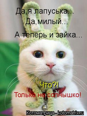 Котоматрица: Да,я лапуська... Да,милый... А теперь и зайка... Что?! Только не солнышко!