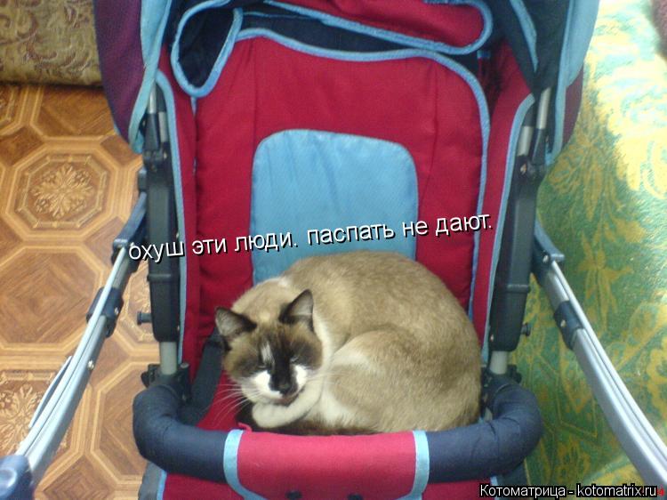 Котоматрица: охуш эти люди. паспать не дают.