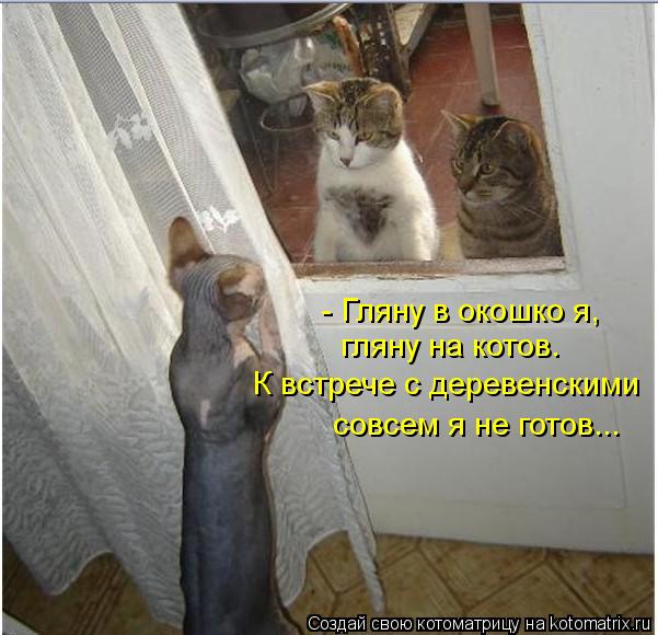 - Гляну в окошко я, гляну на котов. К встрече с деревенскими совсем я не готов...... Котоматрица: - Гляну в окошко я, гляну на котов. К встрече с деревенскими совсем я не готов...