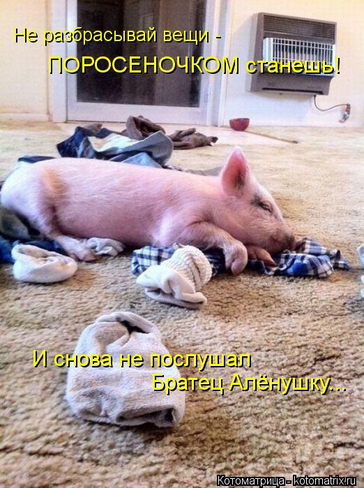 Не разбрасывай вещи - ПОРОСЕНОЧКОМ станешь! И снова не послушал Братец Алёнушку...... Котоматрица: Не разбрасывай вещи - ПОРОСЕНОЧКОМ станешь! И снова не послушал Братец Алёнушку...