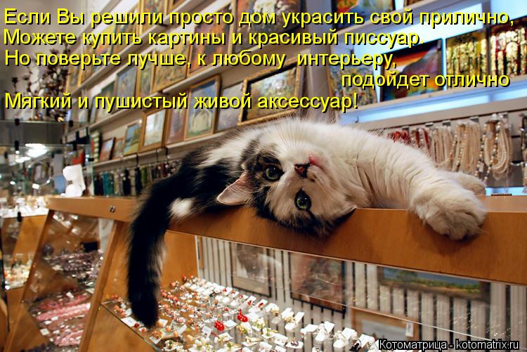 Котоматрица: Если Вы решили просто дом украсить свой прилично, Можете купить картины и красивый писсуар. Но поверьте лучше, к любому  интерьеру, подойдет