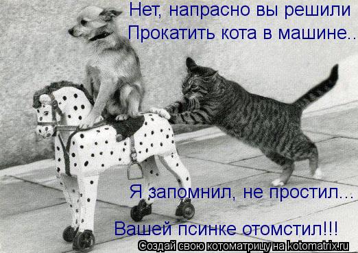 Котоматрица: Нет, напрасно вы решили Прокатить кота в машине... Я запомнил, не простил... Вашей псинке отомстил!!!