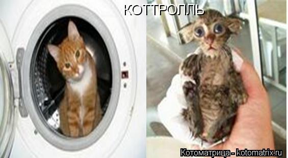КОТТРОЛЛЬ... Котоматрица: КОТТРОЛЛЬ