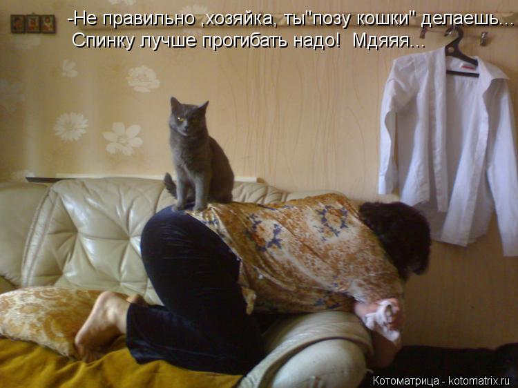Котоматрица: -Не правильно ,хозяйка, ты"позу кошки" делаешь... Спинку лучше прогибать надо!  Мдяяя...