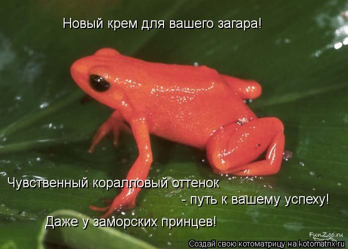 Котоматрица: Новый крем для вашего загара! Чувственный коралловый оттенок - путь к вашему успеху! Даже у заморских принцев!