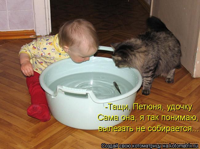 Котоматрица: -Тащи, Петюня, удочку. Сама она, я так понимаю,  вылезать не собирается...