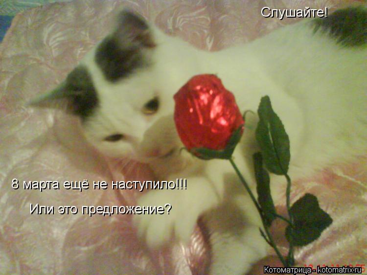 Котоматрица: Слушайте! 8 марта ещё не наступило!!!  Или это предложение?