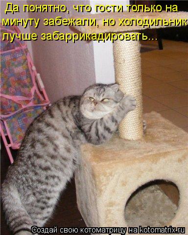 Да понятно, что гости только на минуту забежали, но холодильник лучше забаррикадировать...... Котоматрица: Да понятно, что гости только на минуту забежали, но холодильник лучше забаррикадировать...