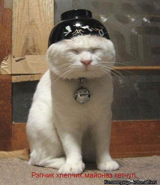 Котоматрица: Рэпчик хлепчик,майонез кетчуп.