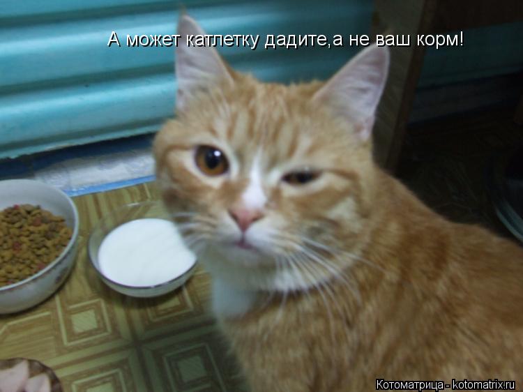Котоматрица: А может катлетку дадите,а не ваш корм!