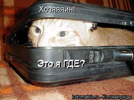 Котоматрица: Хозяяяин! Это я ГДЕ? Это я ГДЕ?