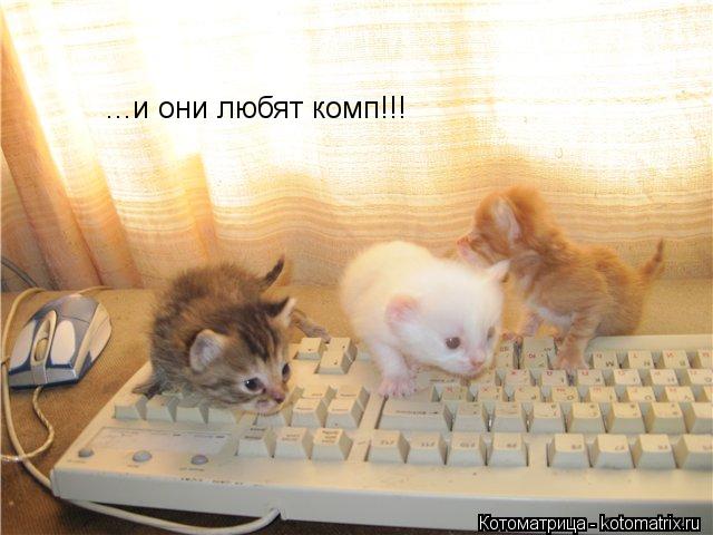 Котоматрица: ...и они любят комп!!!